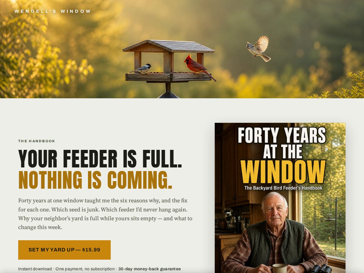 Landing-page snapshot of wendellswindow.com