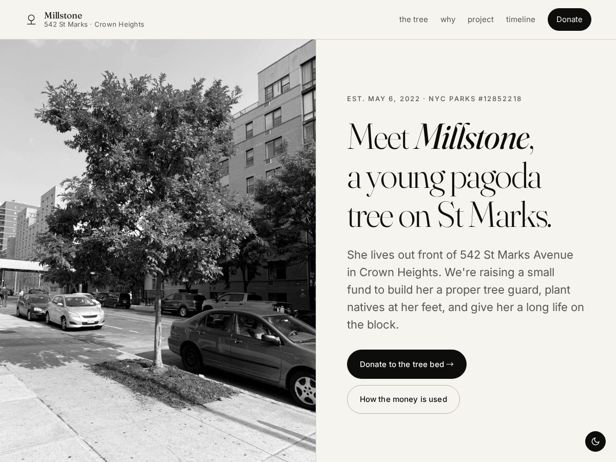 Landing-page snapshot of 542tree.xyz