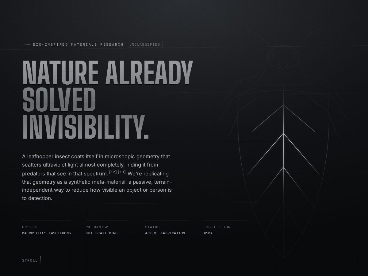 Landing-page snapshot of brochosome.com