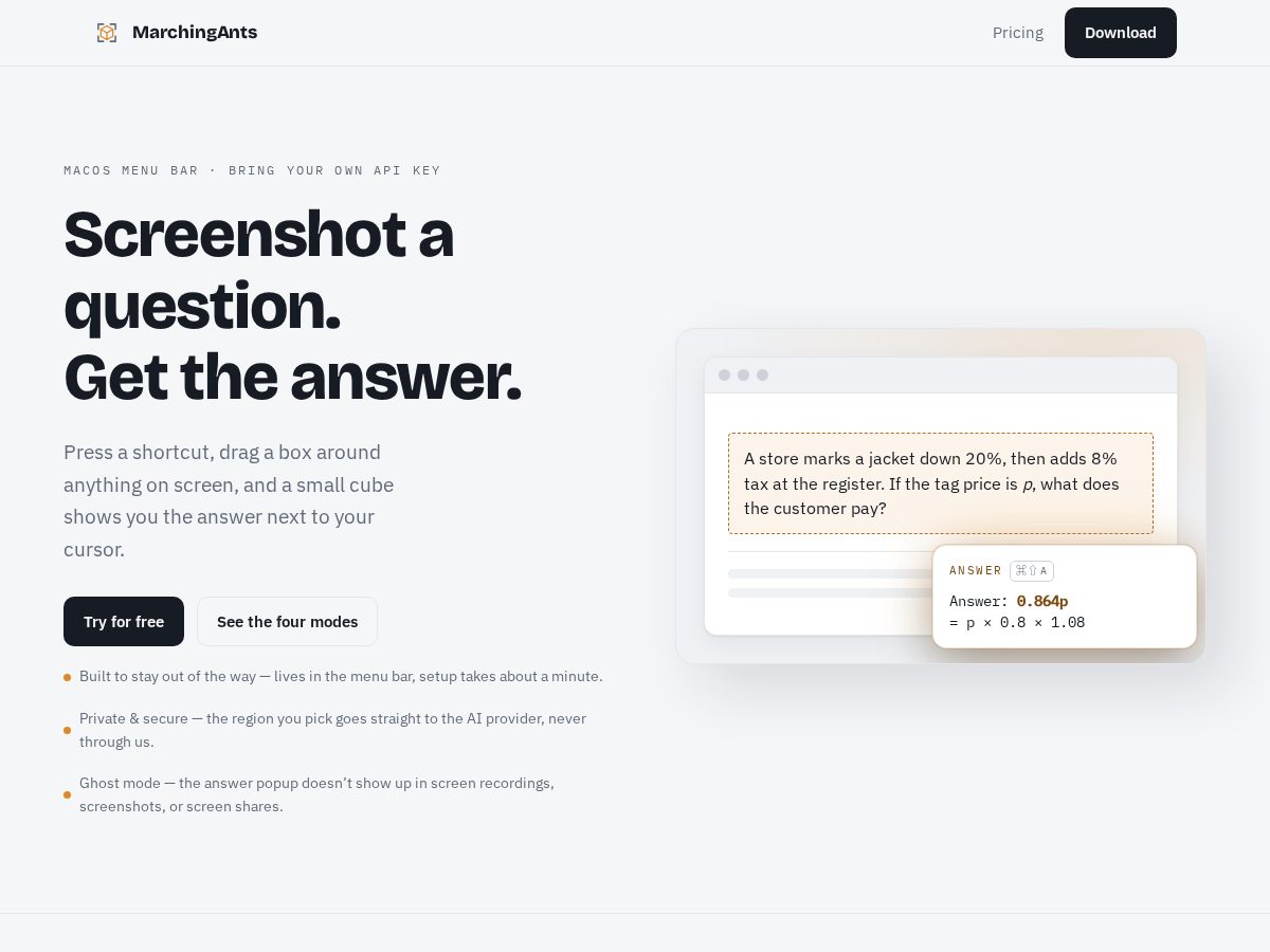Landing-page snapshot of marchingants.app