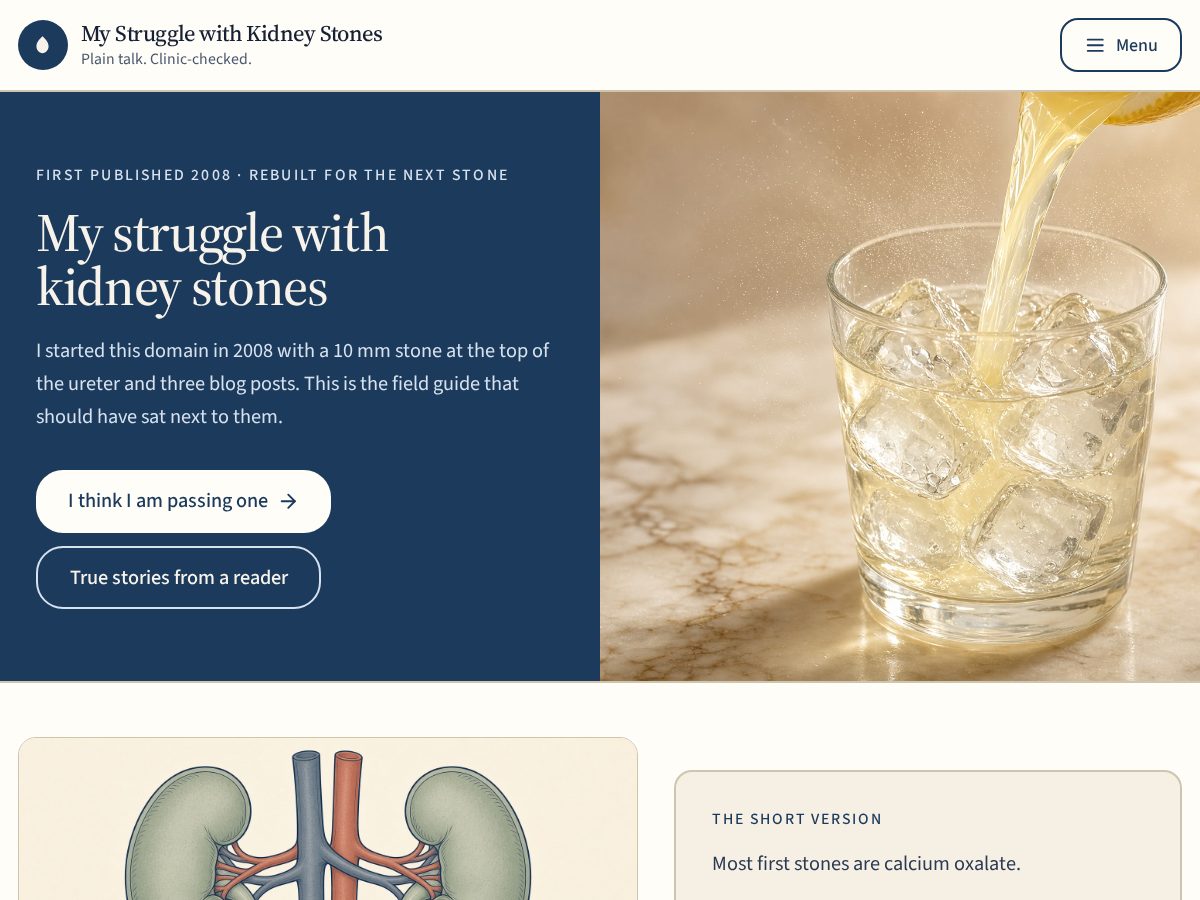 Landing-page snapshot of mystrugglewithkidneystones.com