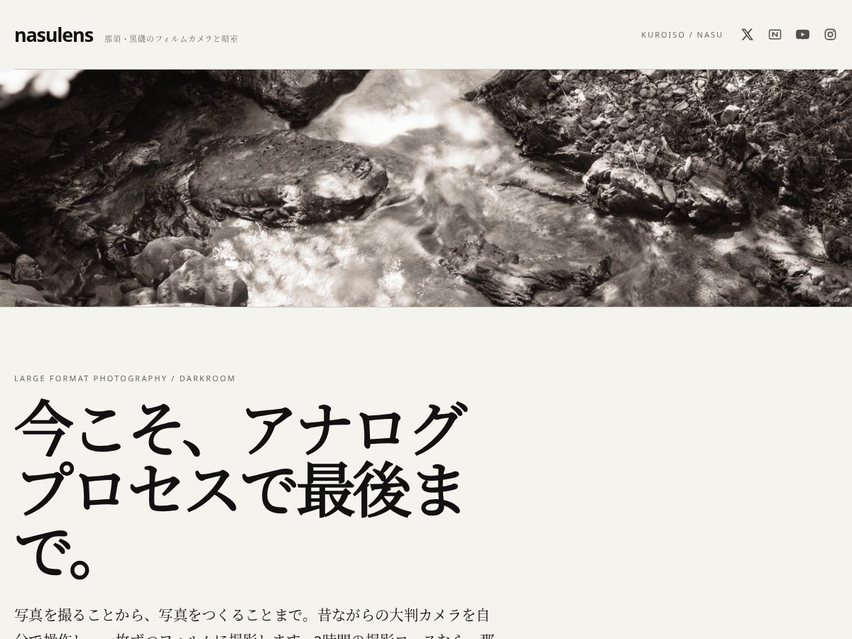 Landing-page snapshot of nasulens.com