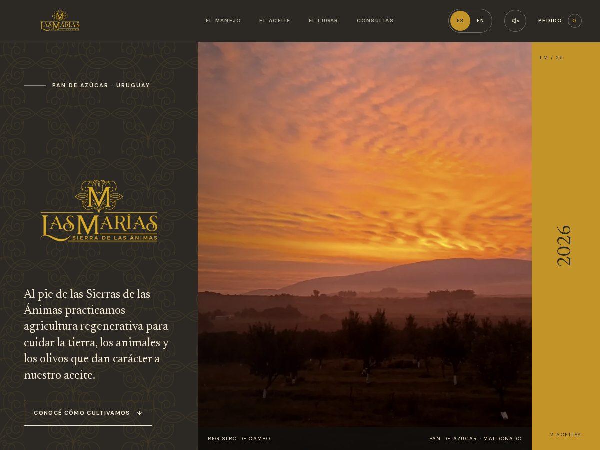Landing-page snapshot of olivoslasmarias.com