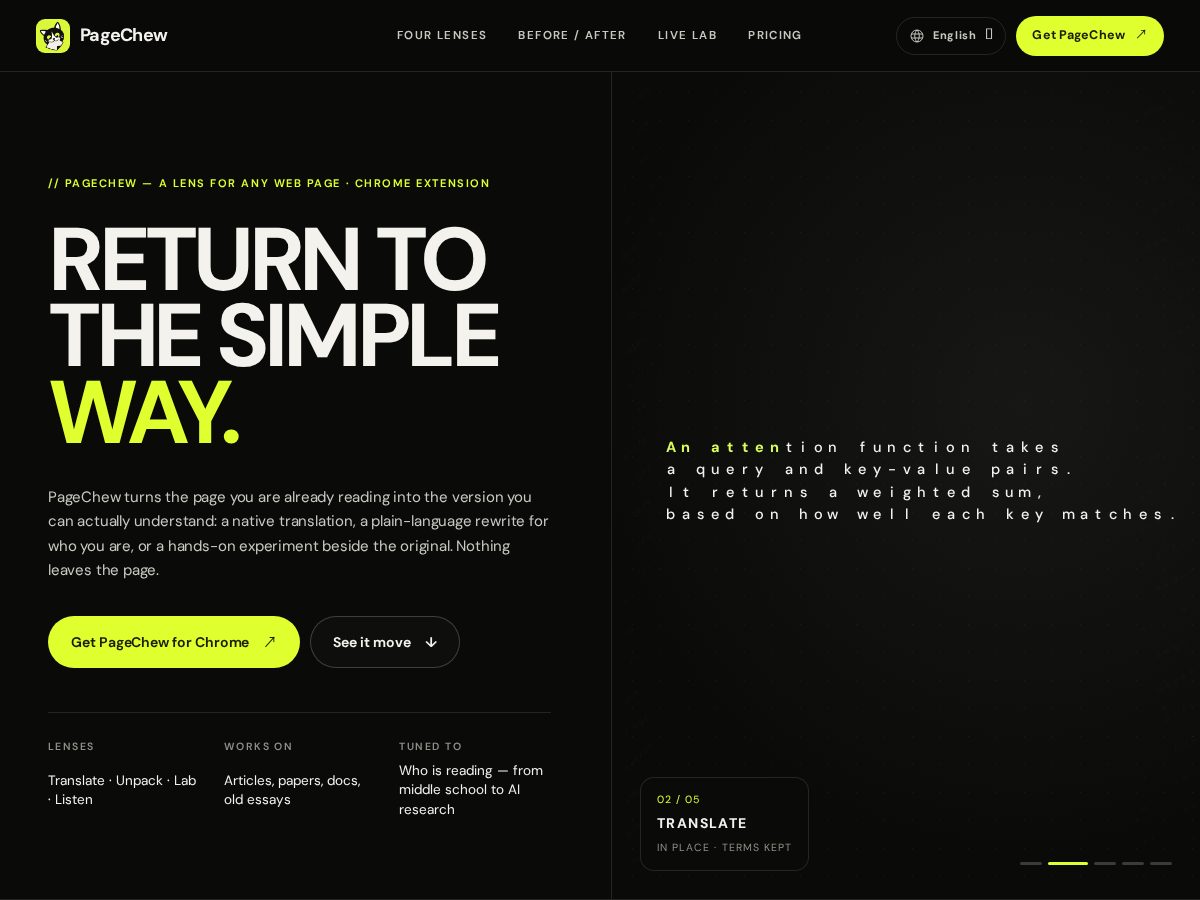 Landing-page snapshot of pagechew.xyz