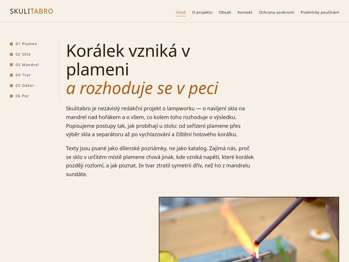 Landing-page snapshot of skulitabro.world