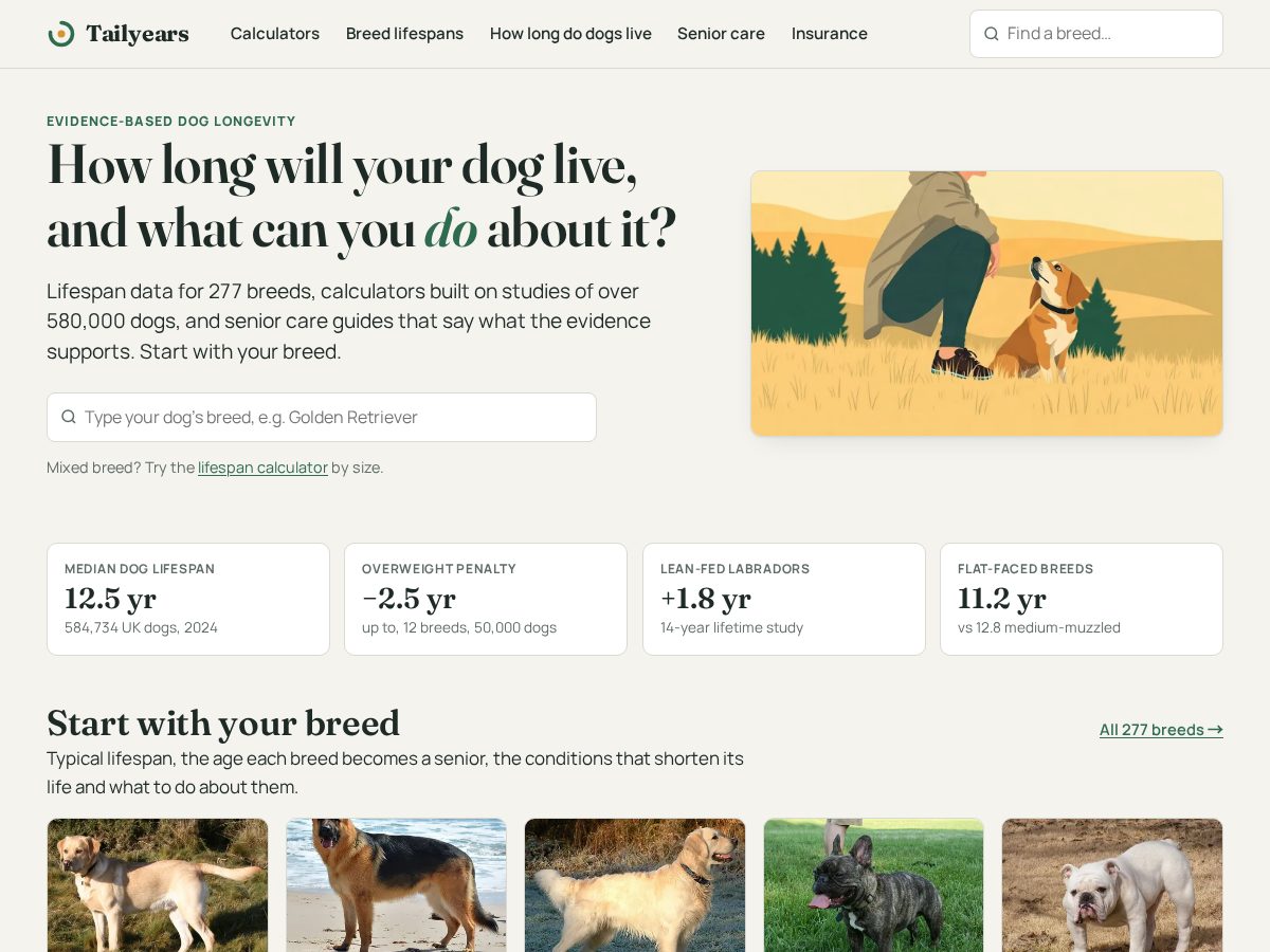 Landing-page snapshot of tailyears.com