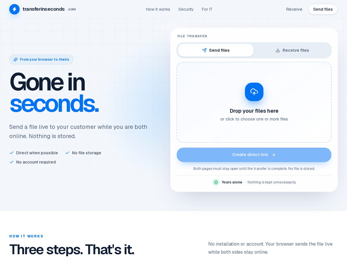 Landing-page snapshot of transferinseconds.com