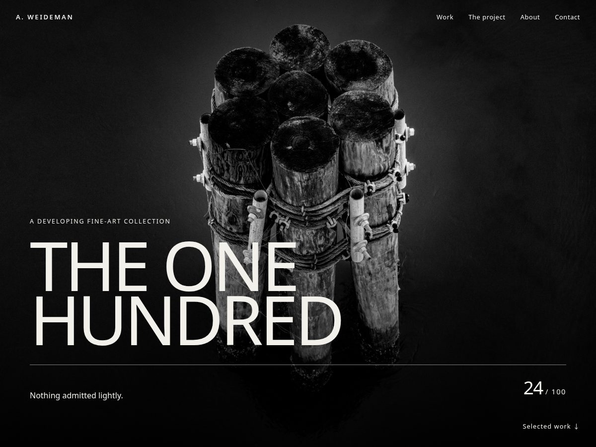 Landing-page snapshot of aweideman.com