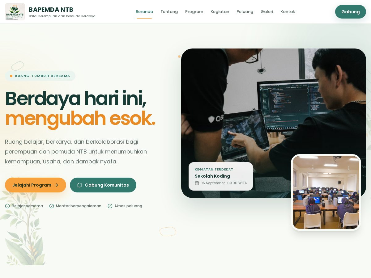 Landing-page snapshot of bapemda.org