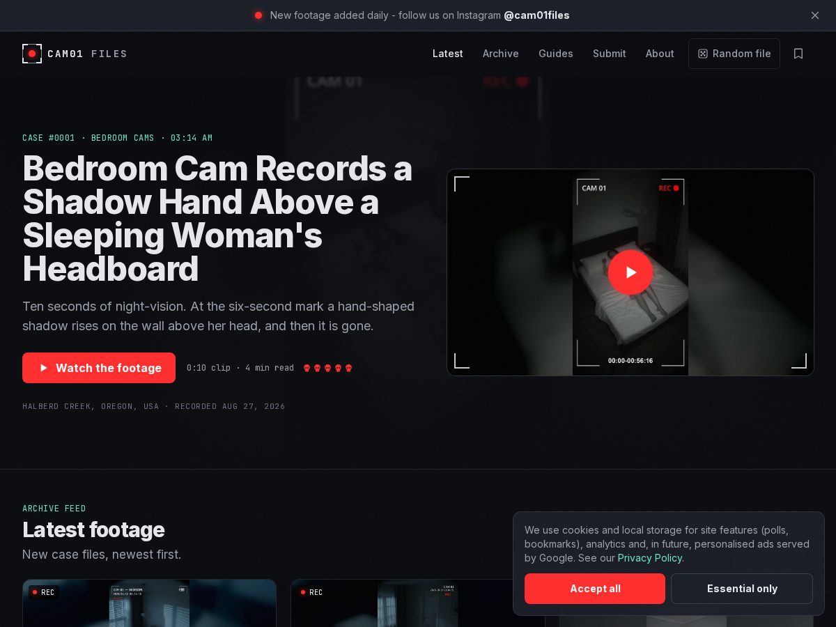 Landing-page snapshot of cam01files.online