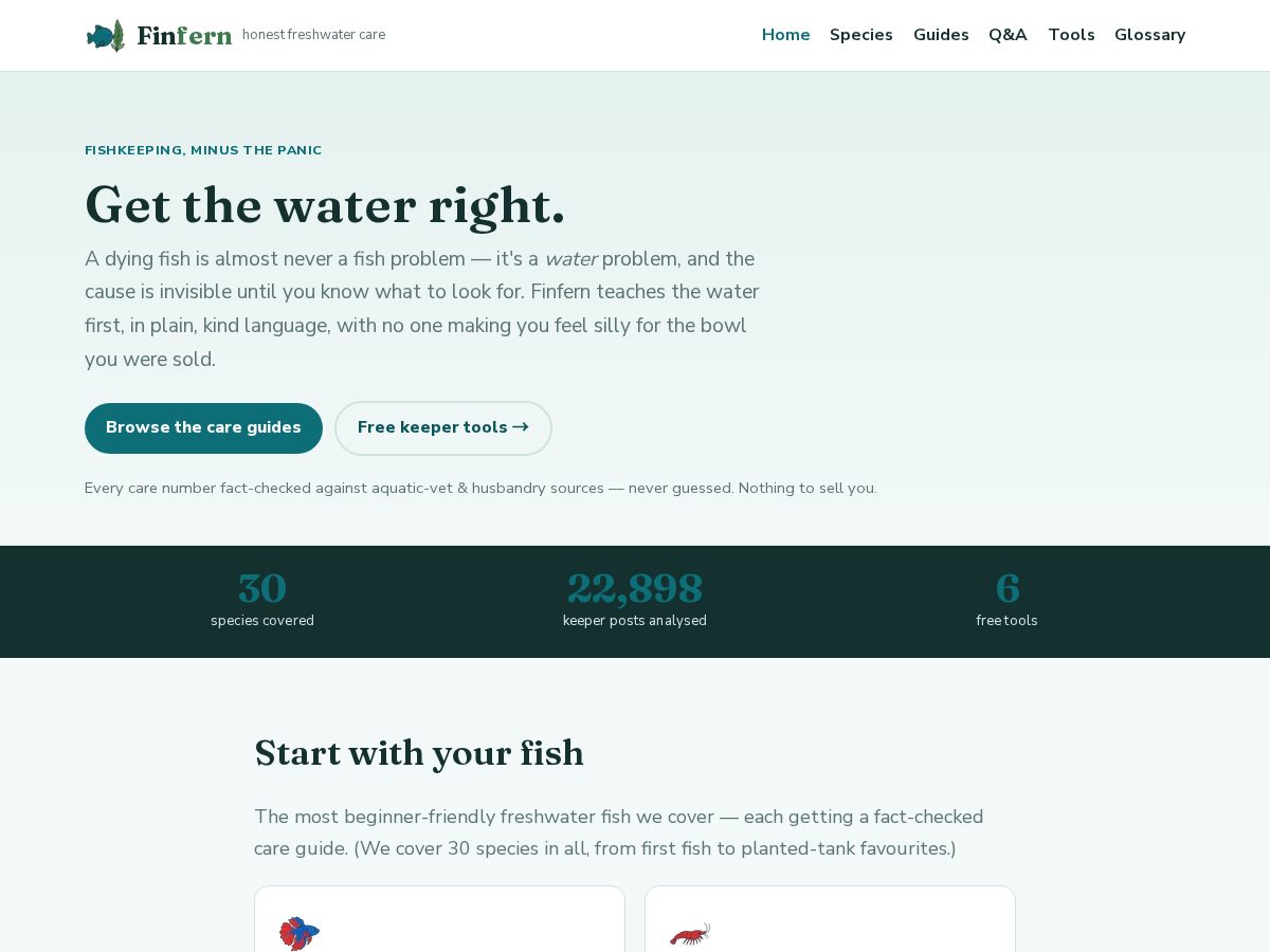 Landing-page snapshot of finfern.com