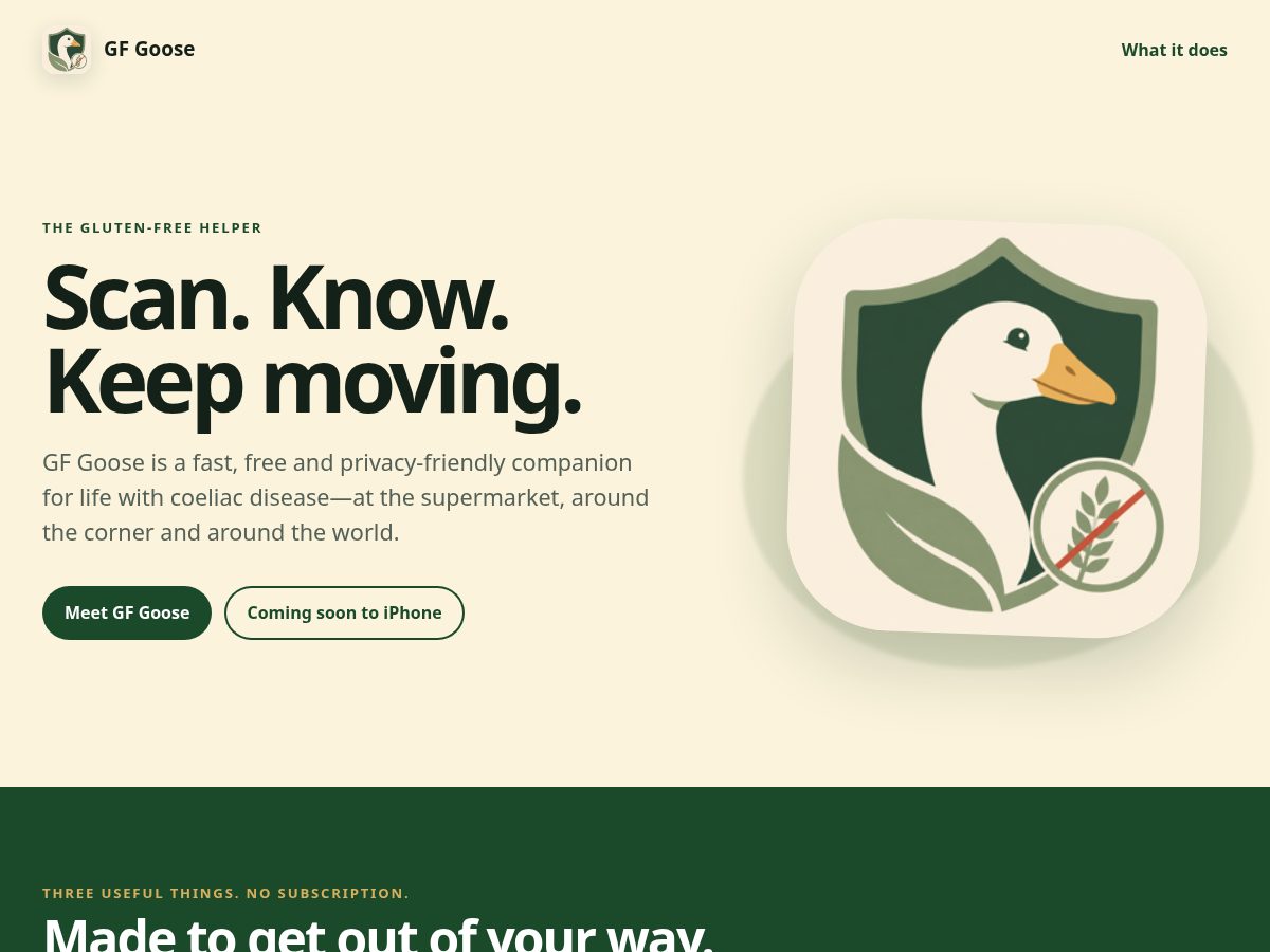 Landing-page snapshot of gf-goose.com