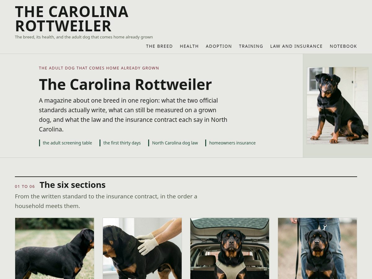 Landing-page snapshot of ncrottierescue.net