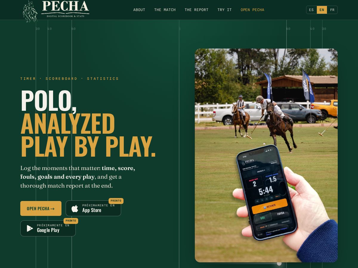 Landing-page snapshot of pechapolo.com