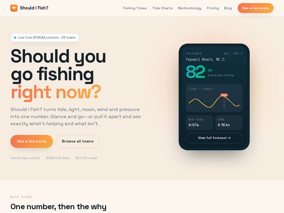 Landing-page snapshot of shouldifish.app