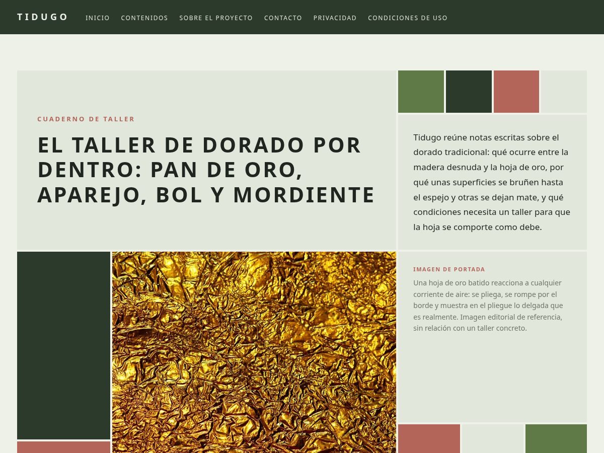 Landing-page snapshot of tidugo.world