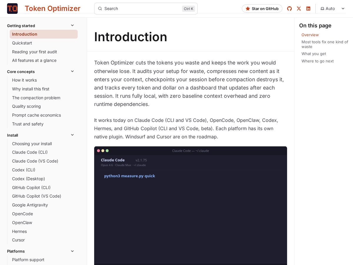 Landing-page snapshot of token-optimizer.dev