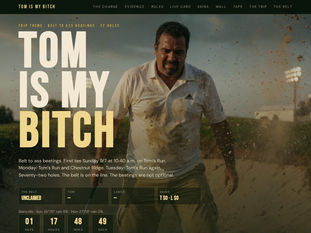 Landing-page snapshot of tomismybitch.com