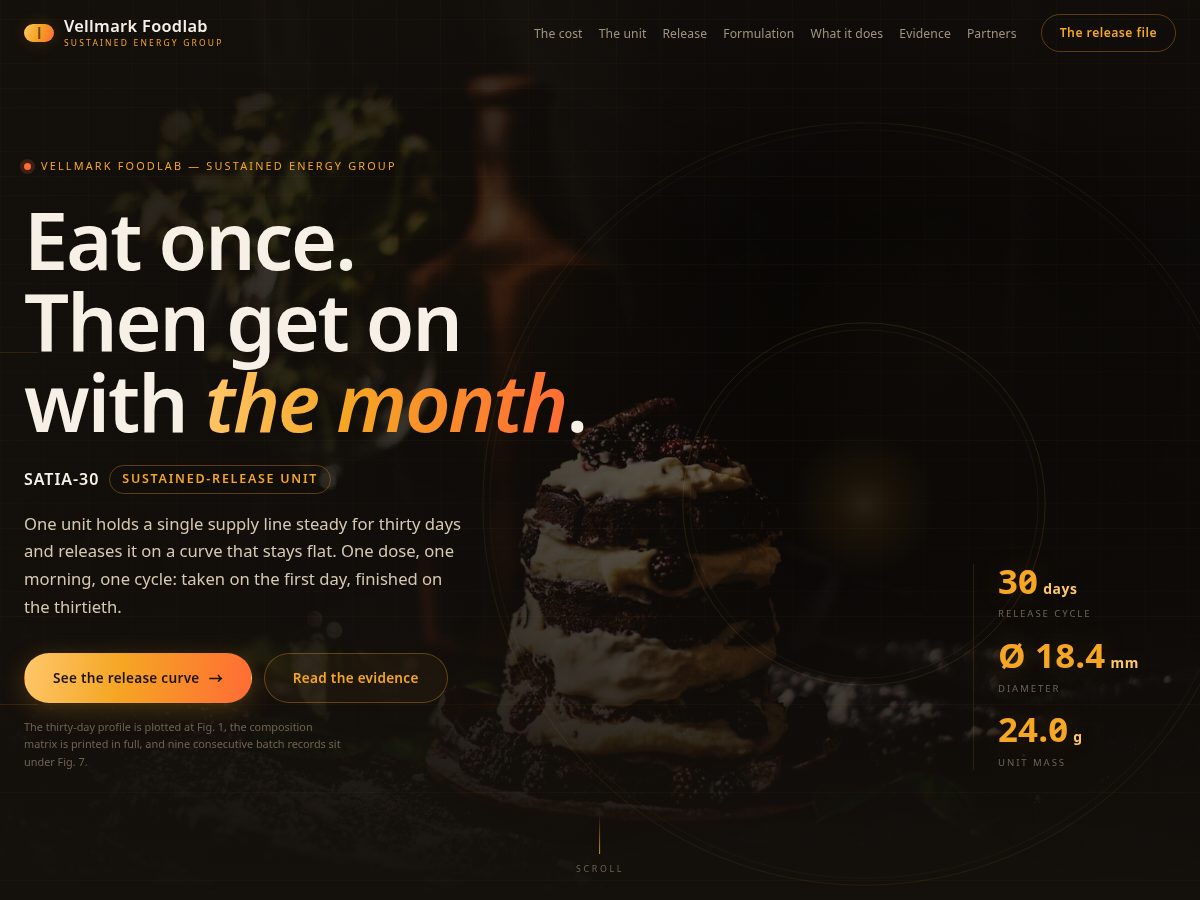 Landing-page snapshot of vellmark.top