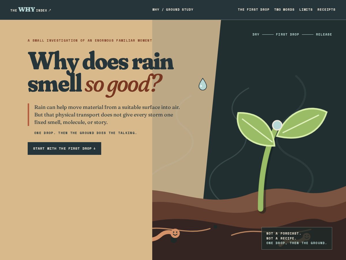 Landing-page snapshot of whydoesrainsmellgood.com