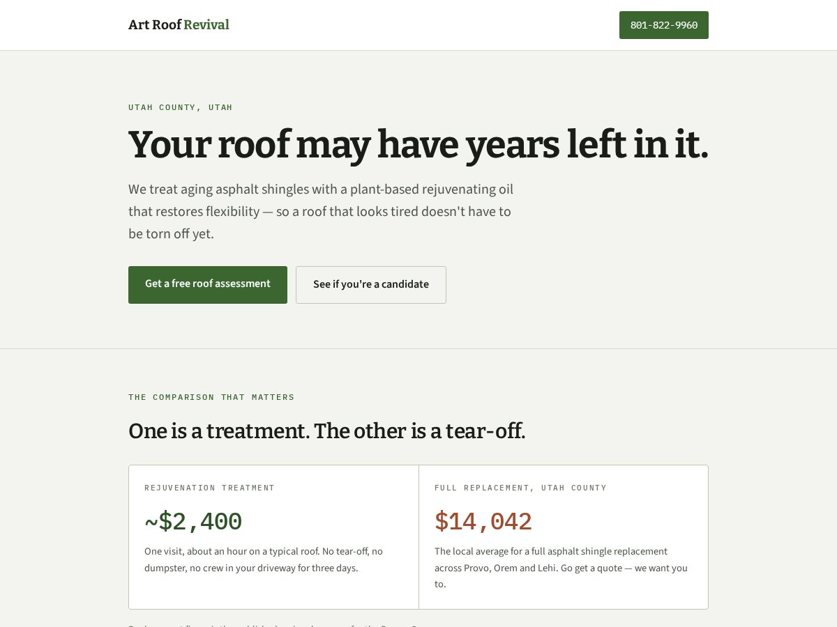 Landing-page snapshot of artroofrevival.com