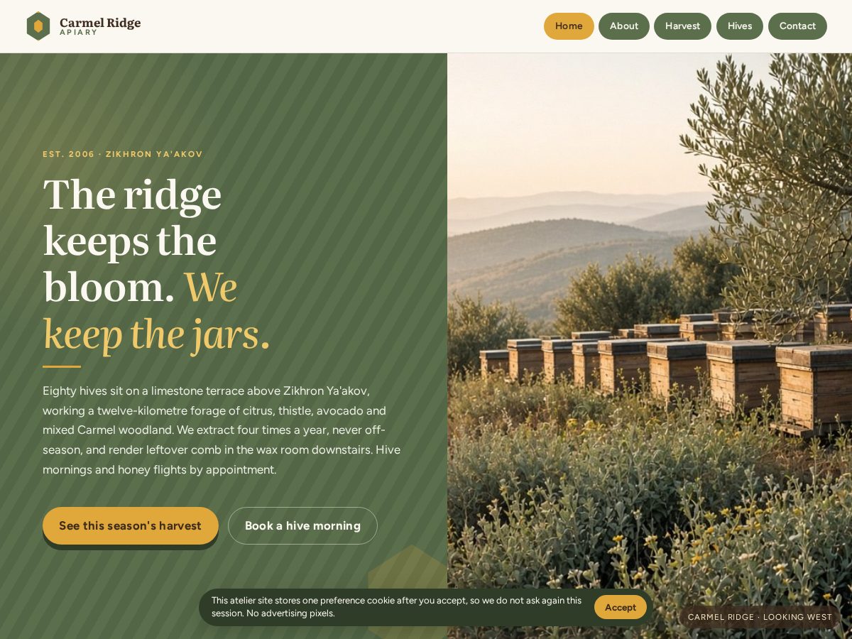 Landing-page snapshot of carmelapiary.pro