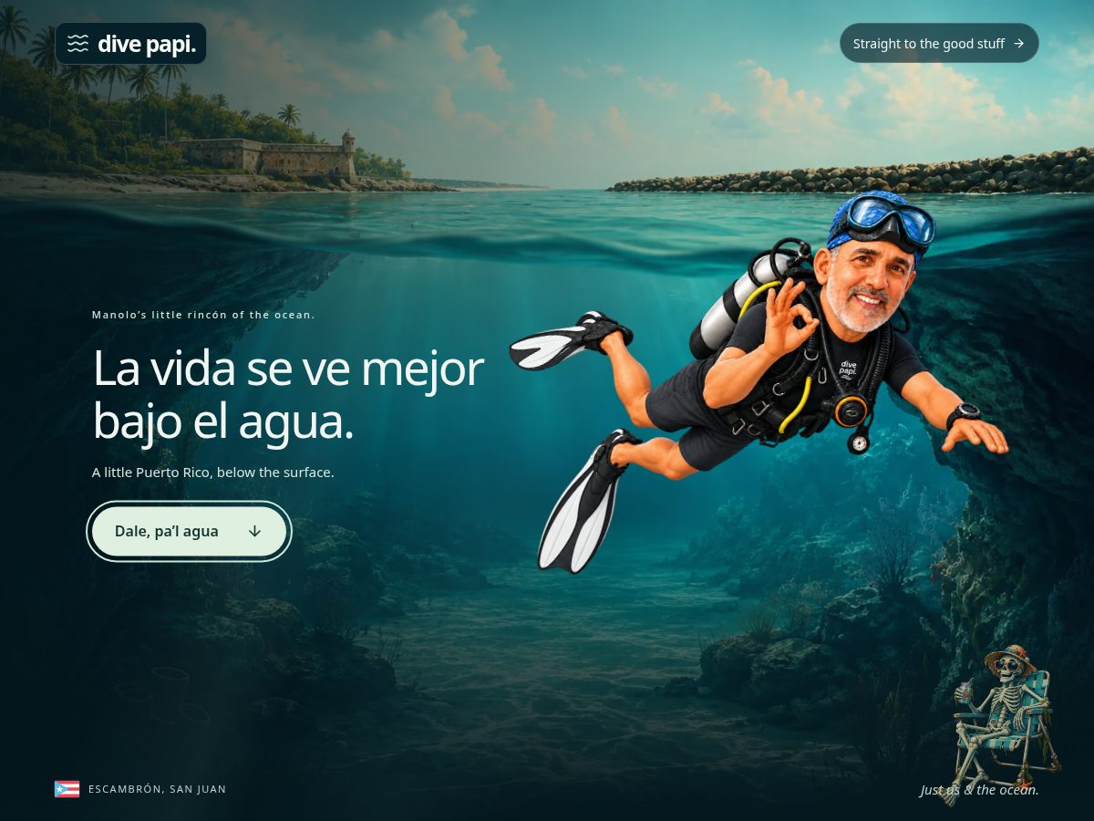 Landing-page snapshot of divepapi.com