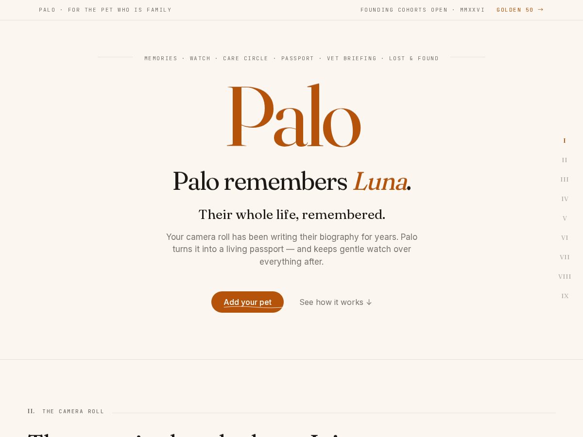 Landing-page snapshot of getpalo.app