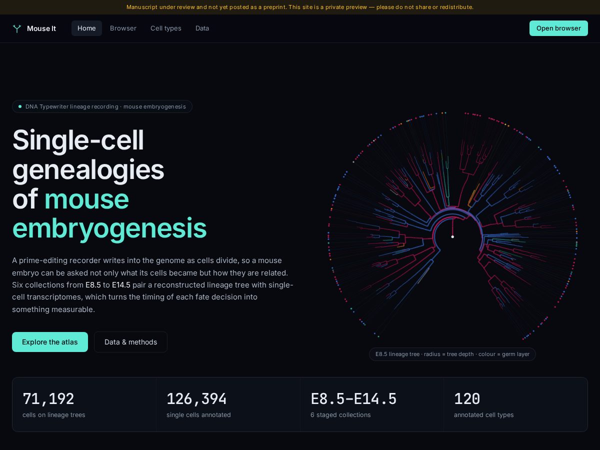 Landing-page snapshot of mouse-it.com