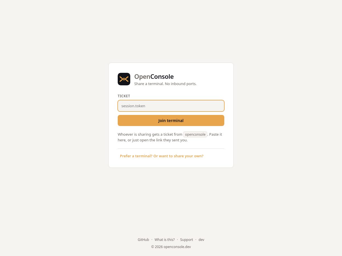 Landing-page snapshot of openconsole.dev