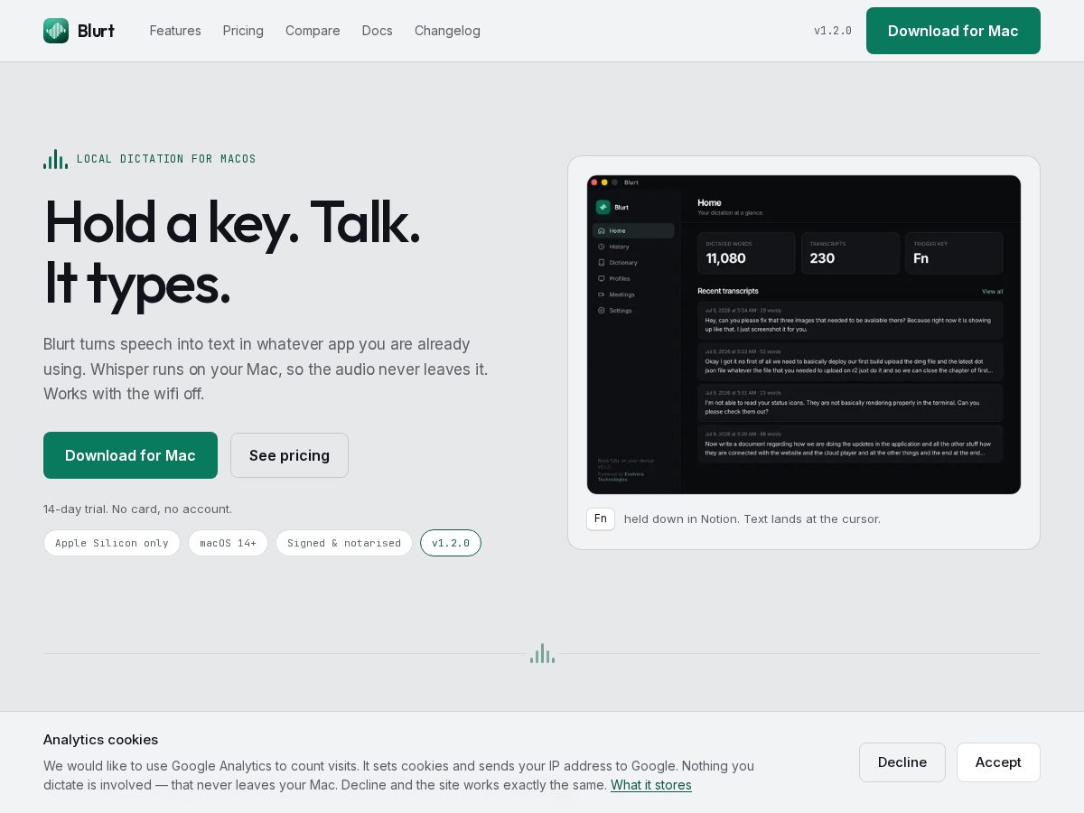 Landing-page snapshot of theblurt.app
