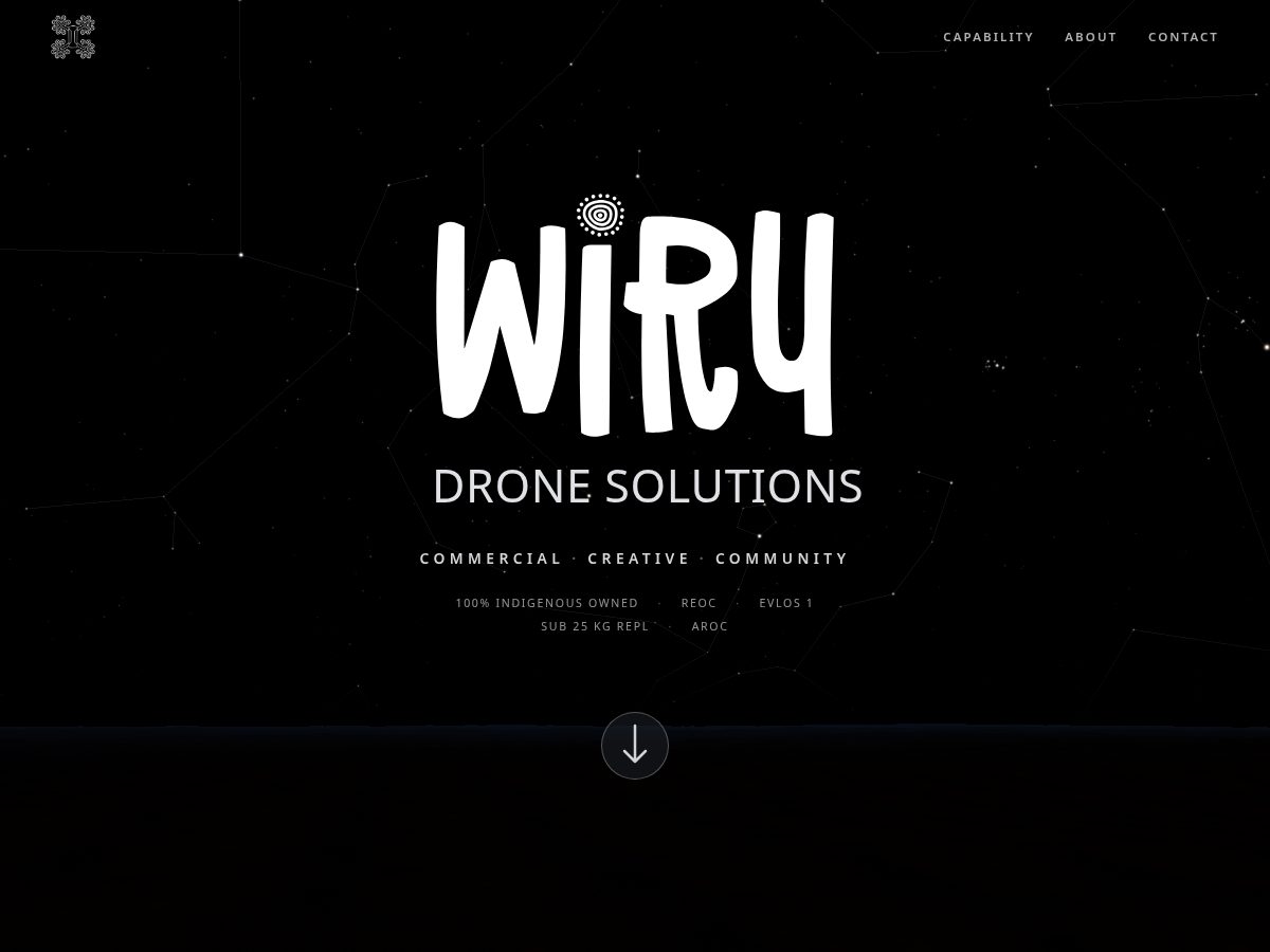 Landing-page snapshot of wirudronesolutions.net