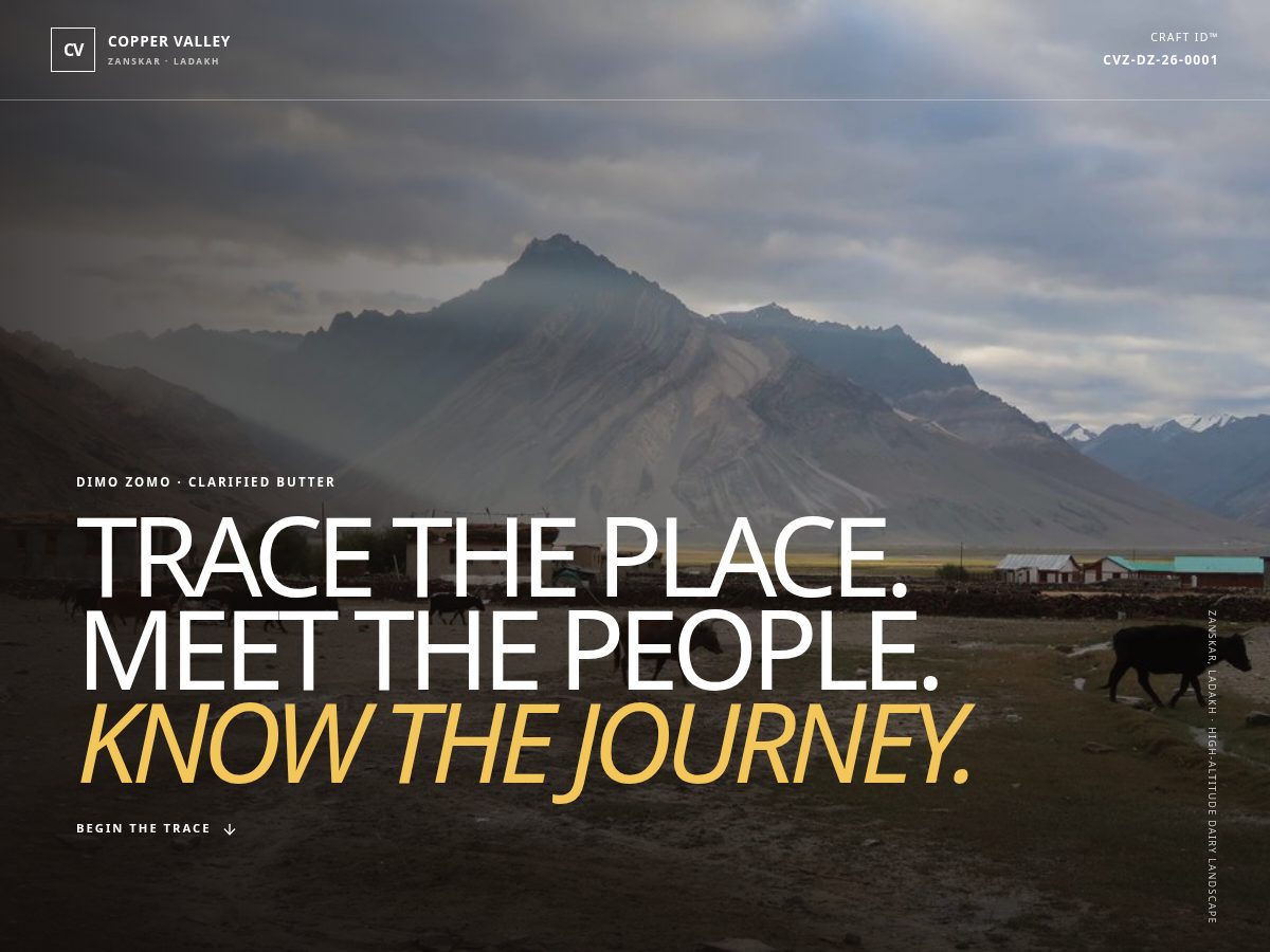 Landing-page snapshot of zangkar.com
