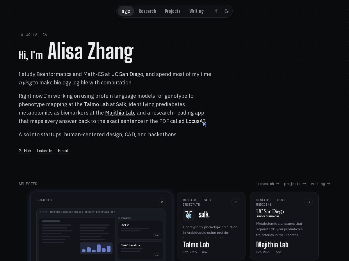 Landing-page snapshot of ayjz.dev