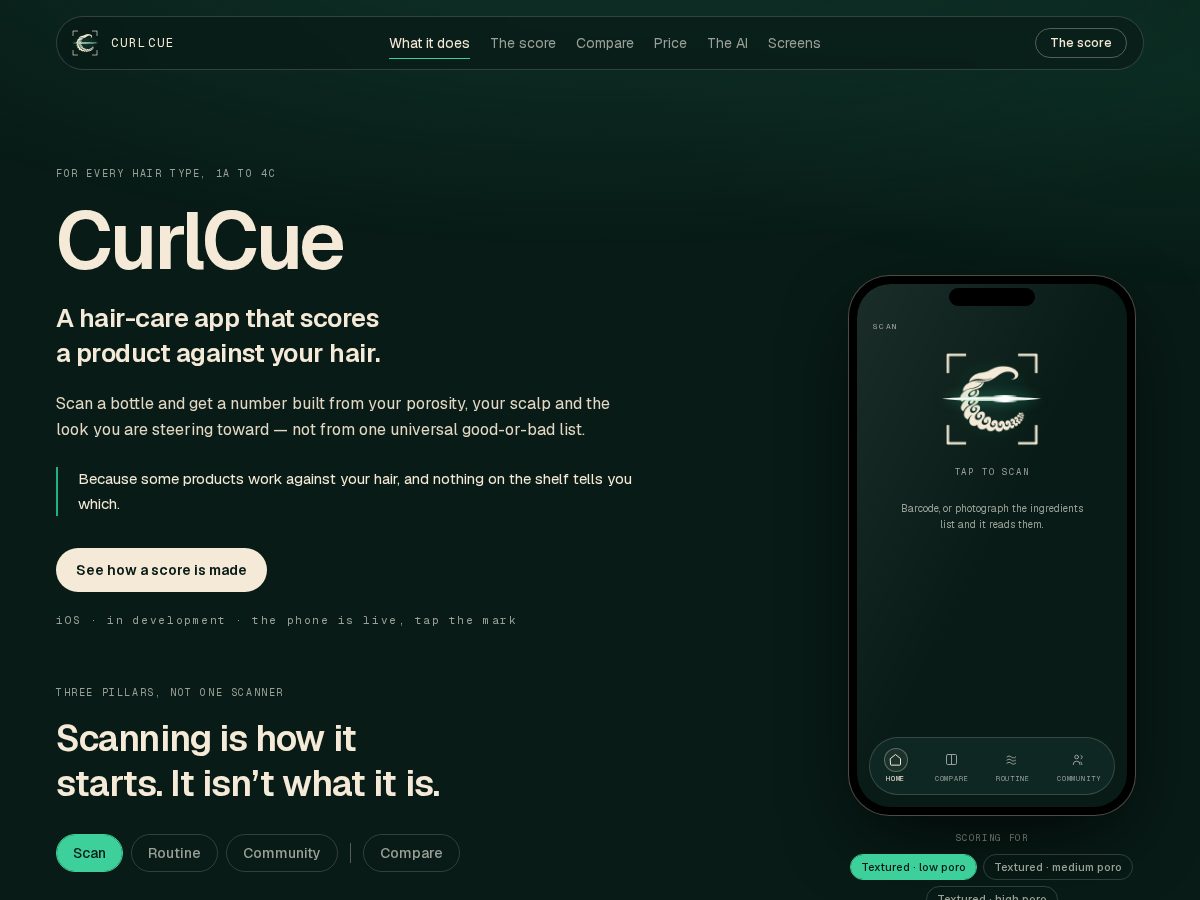 Landing-page snapshot of curlcue.app
