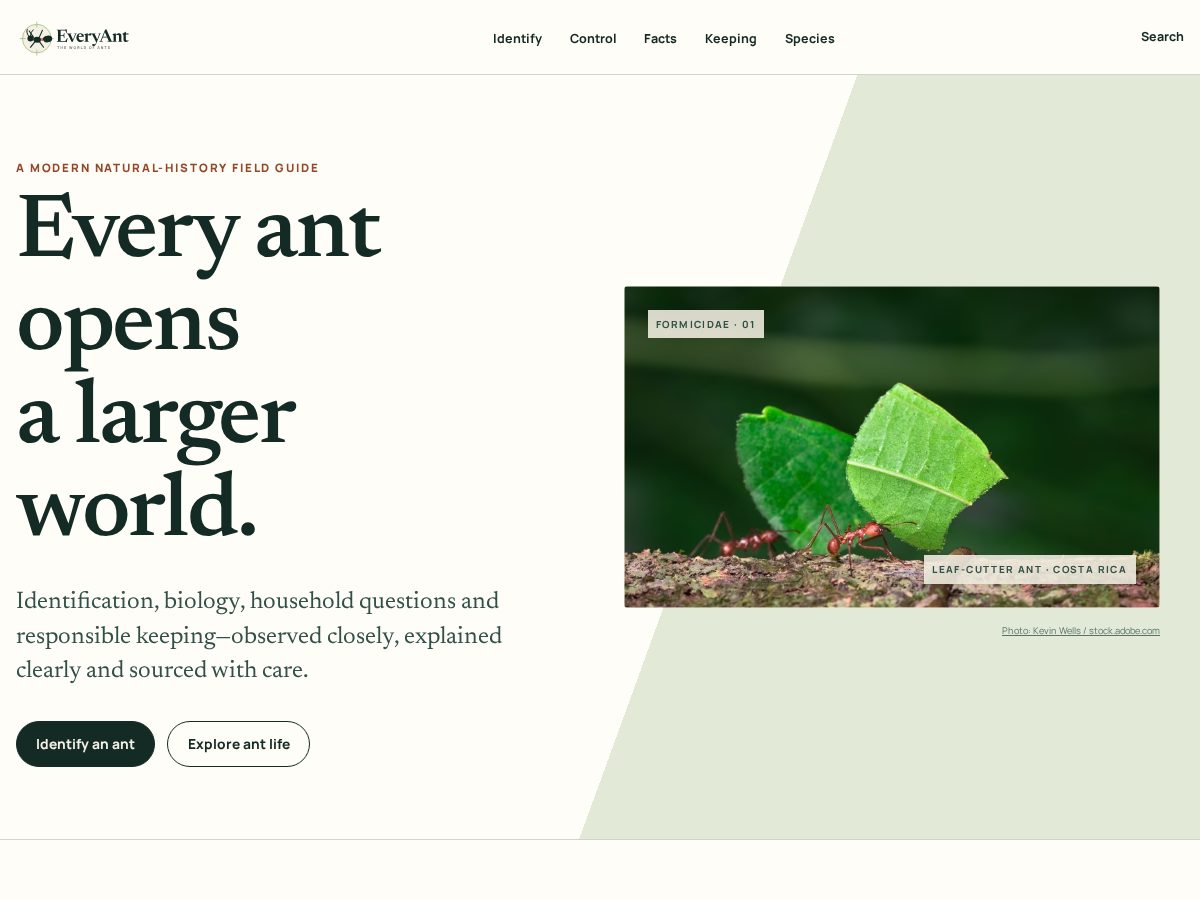 Landing-page snapshot of everyant.com