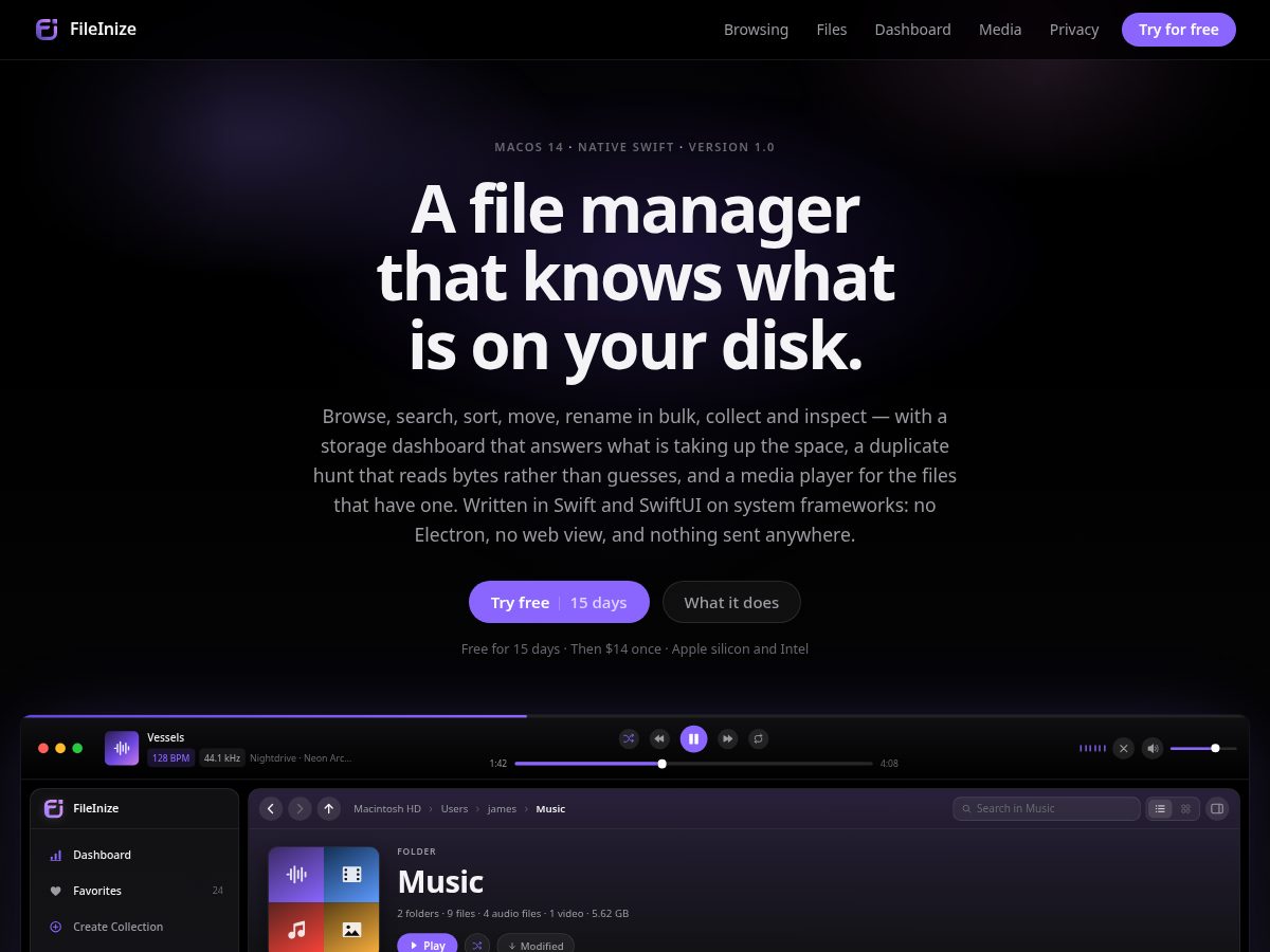 Landing-page snapshot of fileinize.com