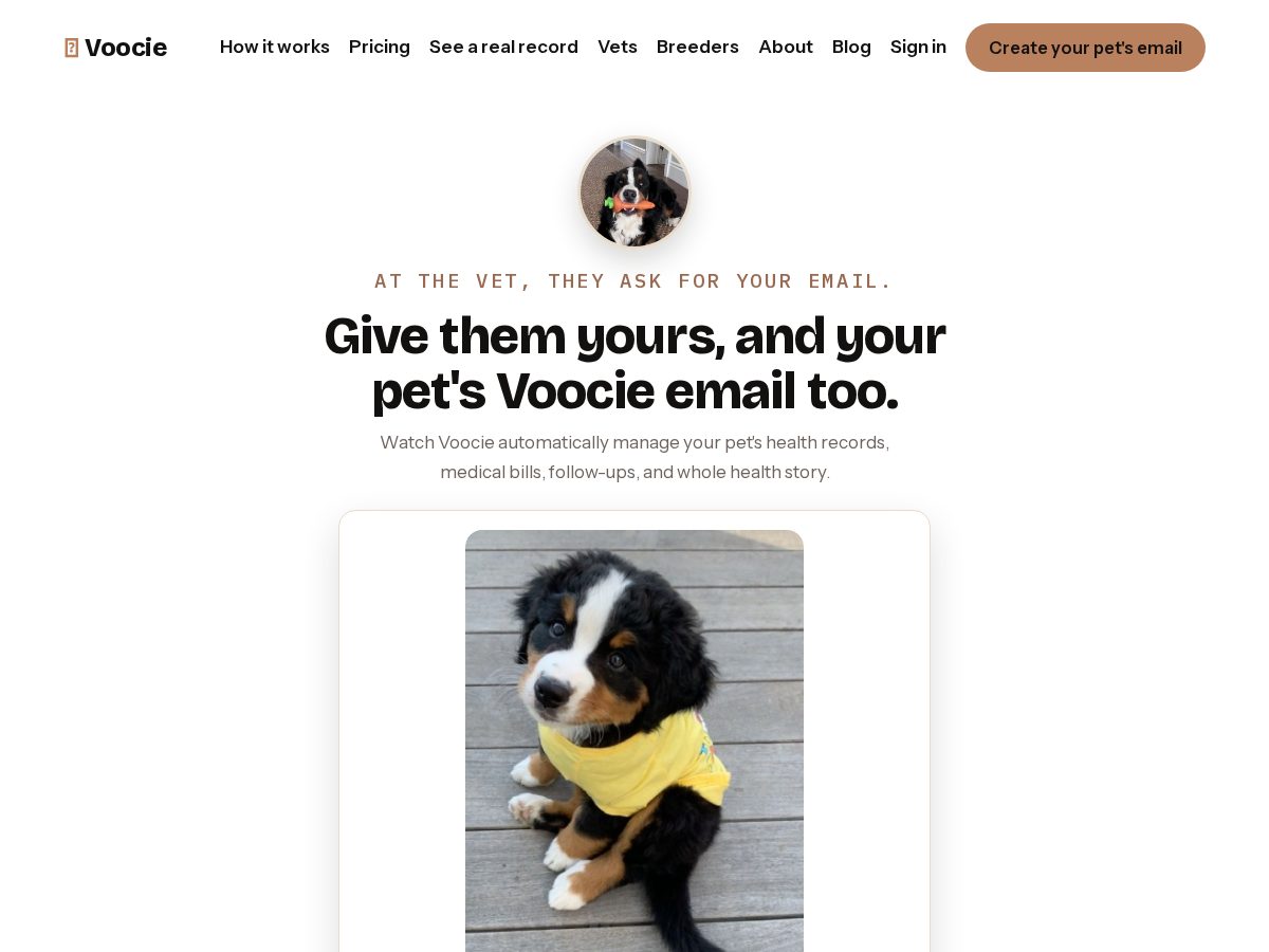 Landing-page snapshot of getvoocie.com