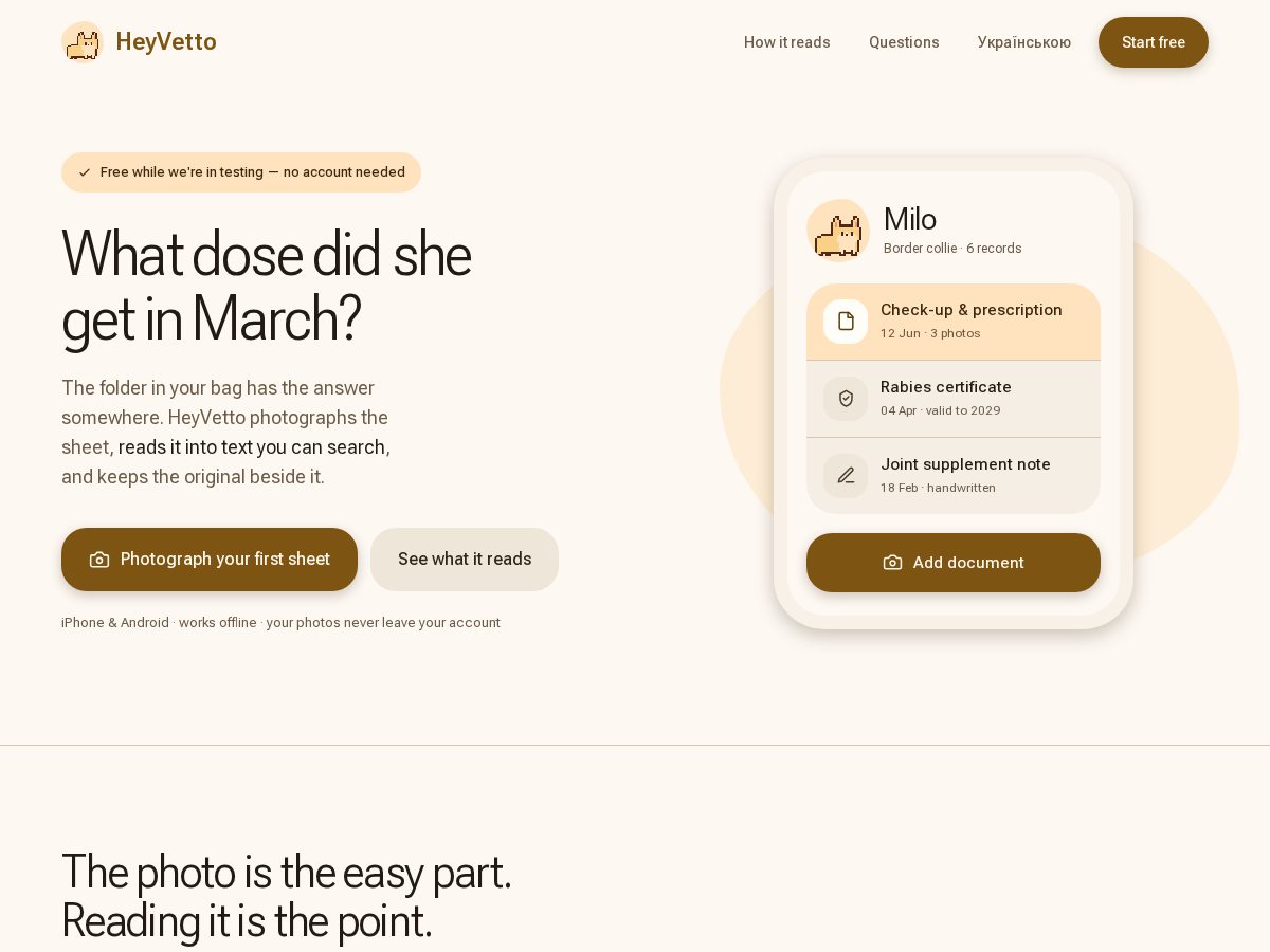 Landing-page snapshot of heyvetto.com