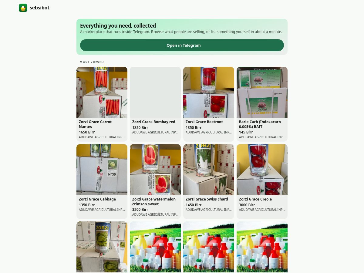 Landing-page snapshot of sebsibot.com