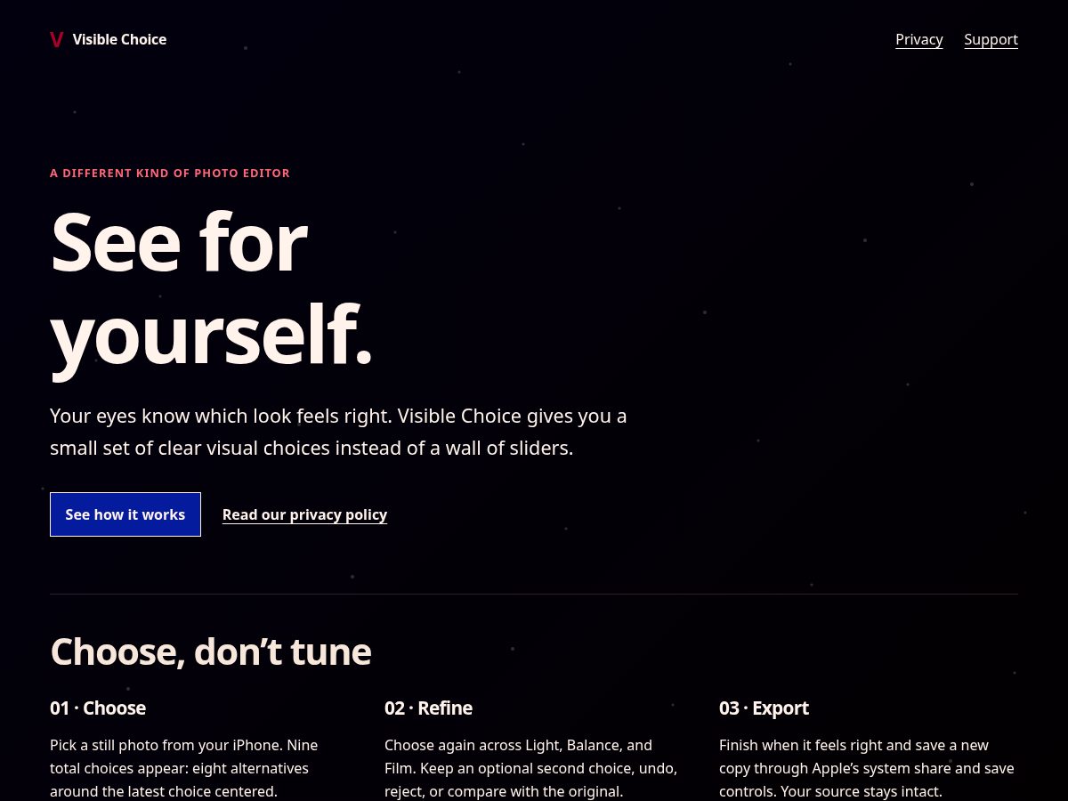 Landing-page snapshot of visiblechoice.app