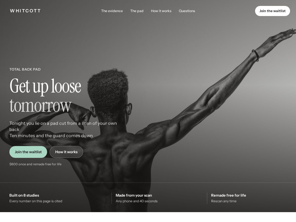 Landing-page snapshot of whitcott.com