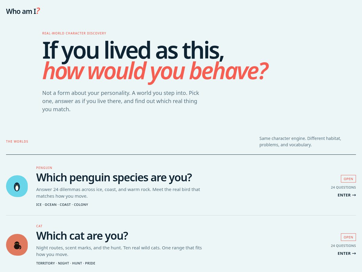 Landing-page snapshot of whoamitest.site