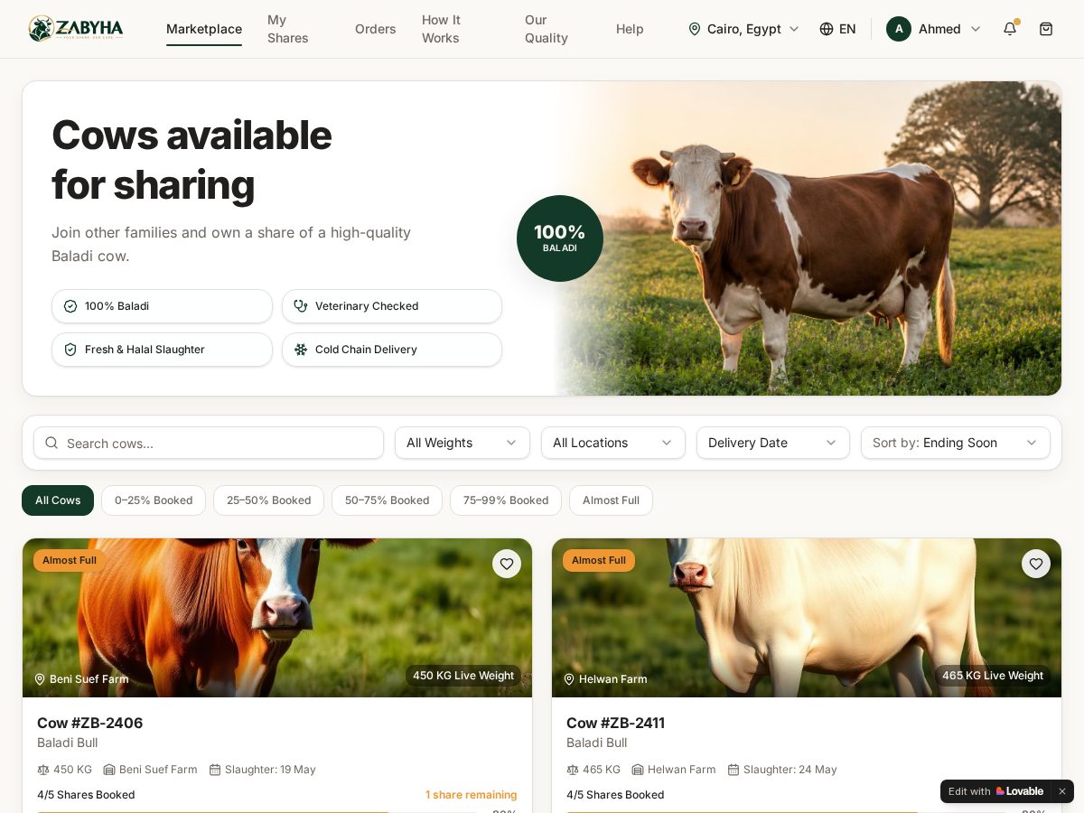 Landing-page snapshot of zabeyha.com