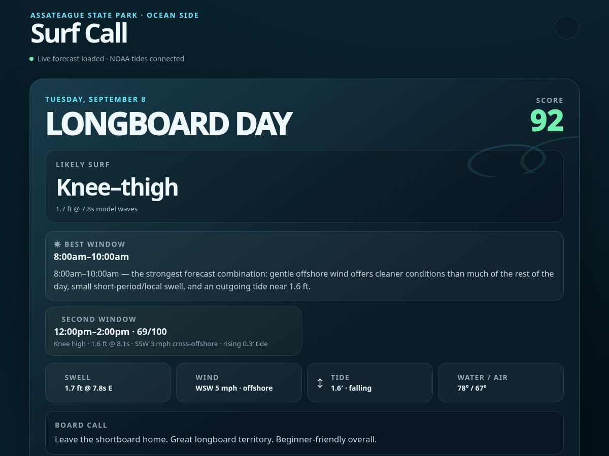 Landing-page snapshot of assateaguesurf.fyi