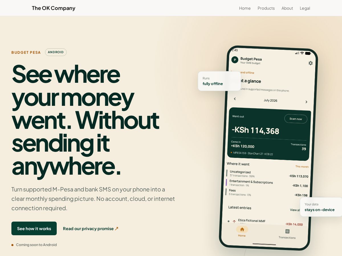 Landing-page snapshot of budgetpesa.com