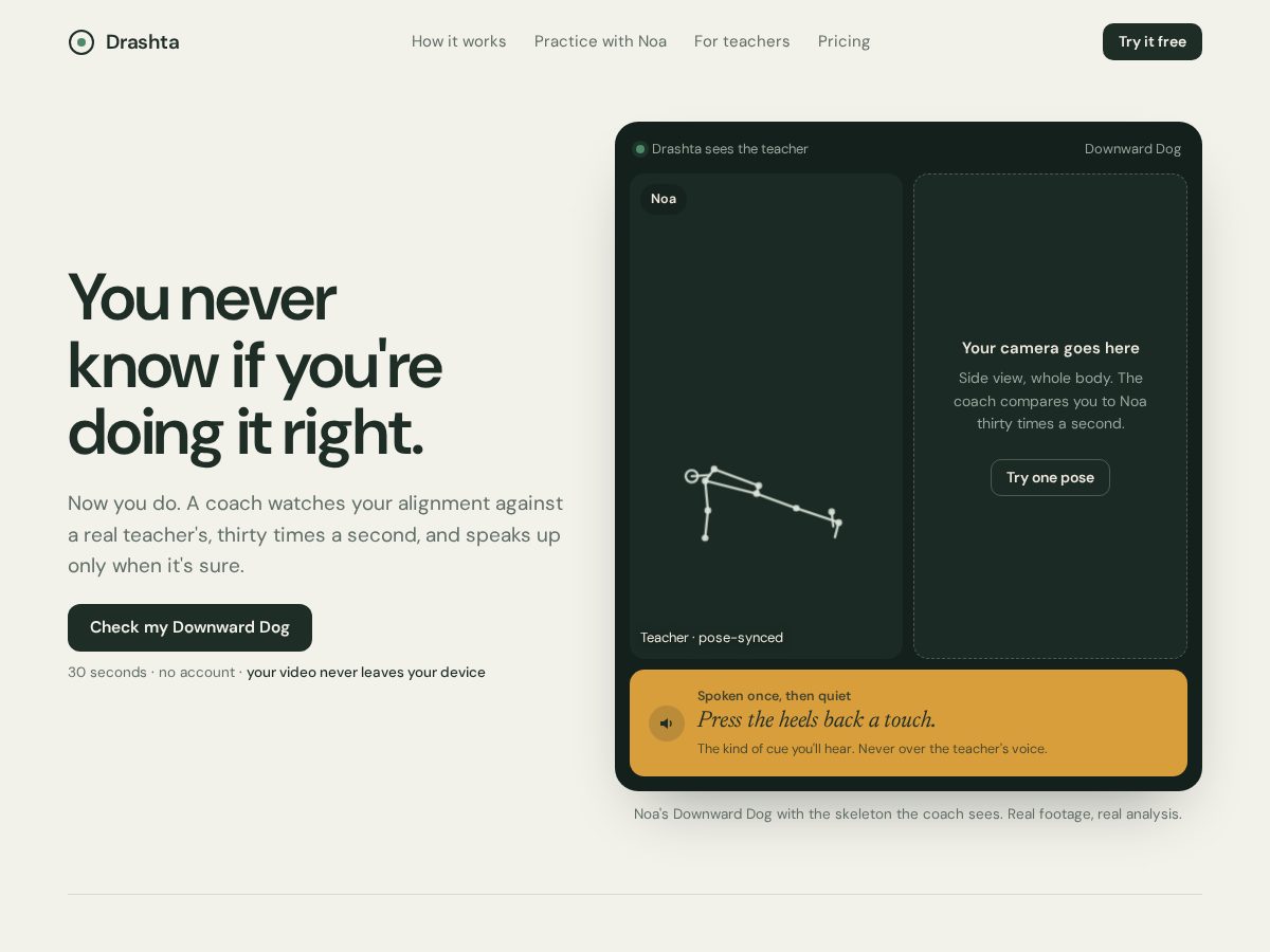Landing-page snapshot of drashta.yoga