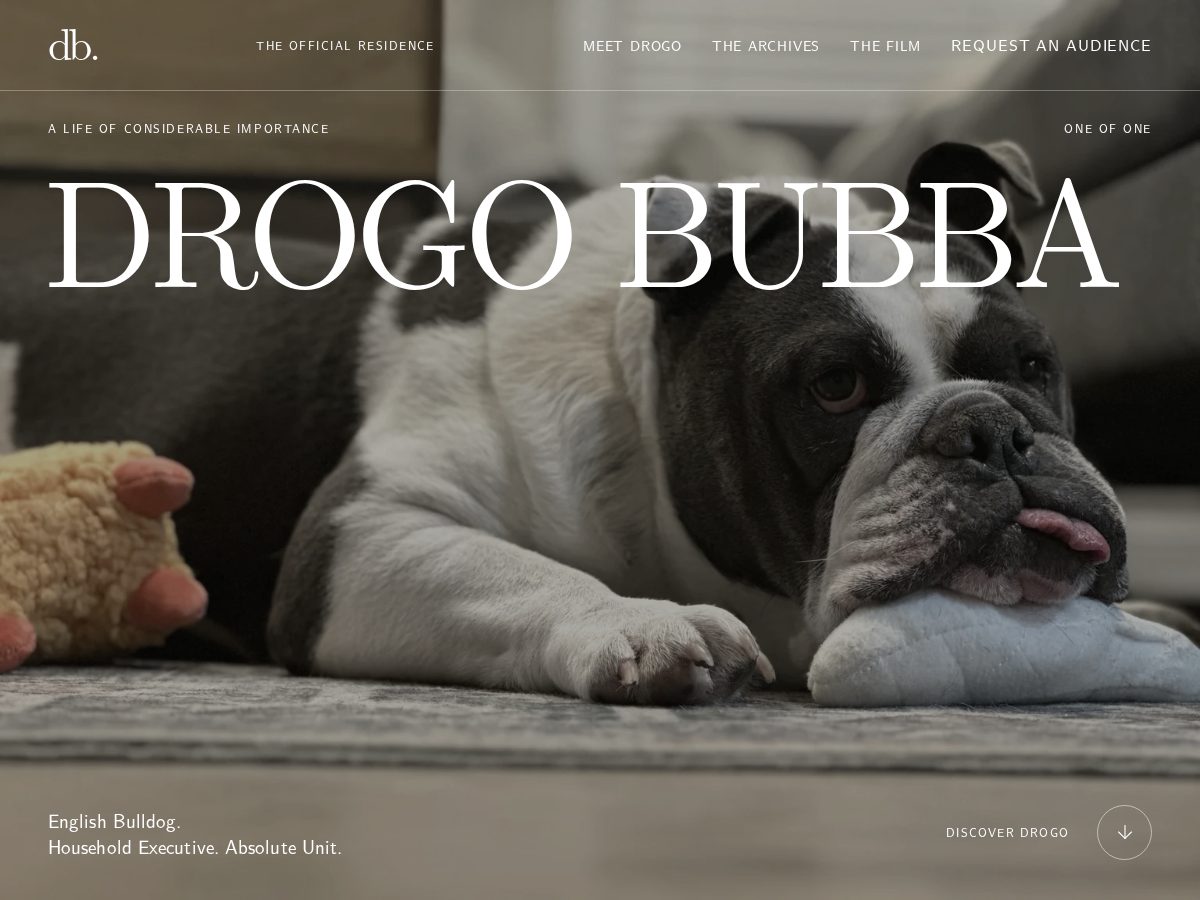Landing-page snapshot of drogobubba.com