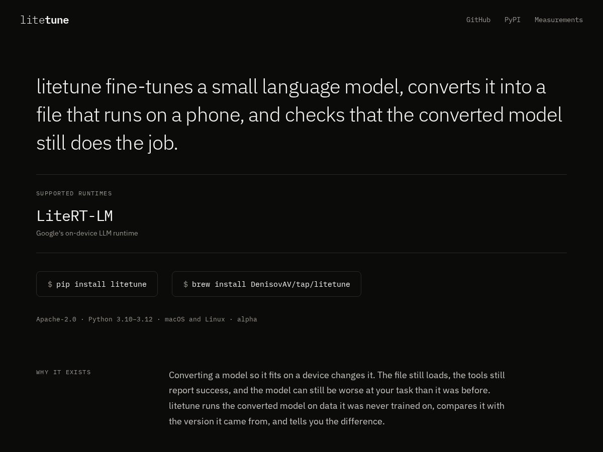 Landing-page snapshot of litetune.dev
