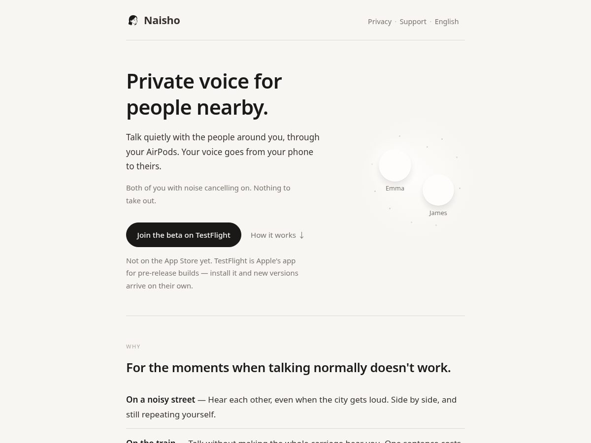 Landing-page snapshot of naisho.space